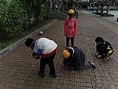 縮圖：