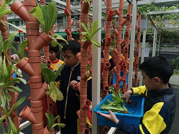 放大圖：