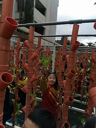 放大圖：