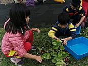 縮圖：