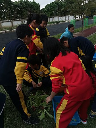 放大圖：