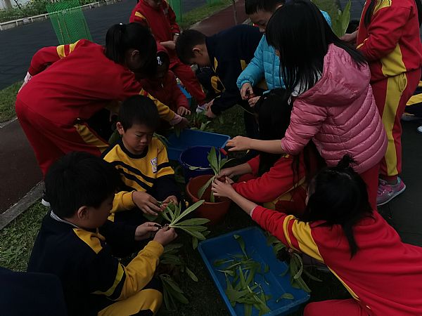 放大圖：