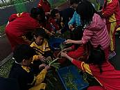 縮圖：