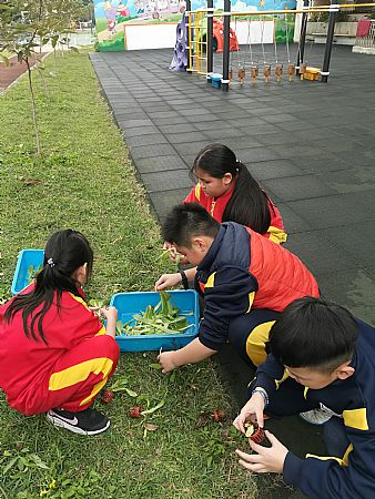 放大圖：
