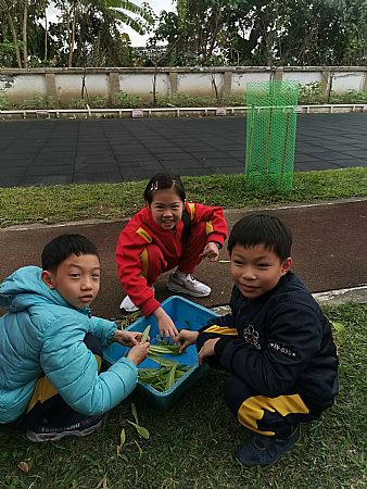 放大圖：