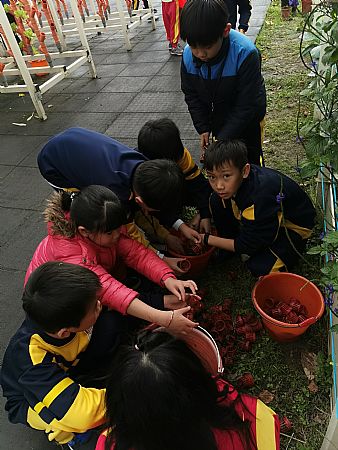 放大圖：