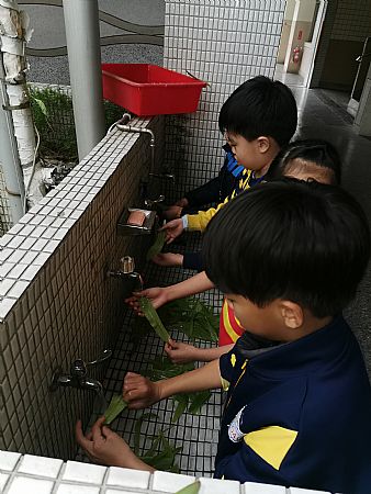 放大圖：