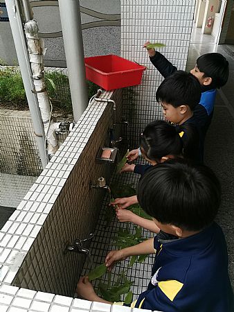 放大圖：
