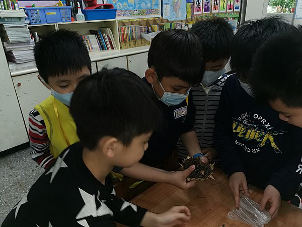 放大圖：