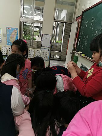 放大圖：