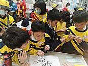 縮圖：