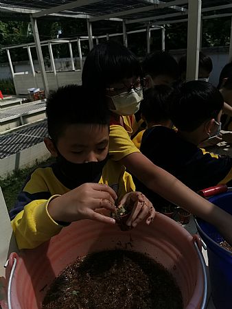 放大圖：