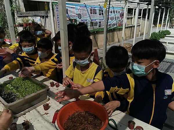 放大圖：
