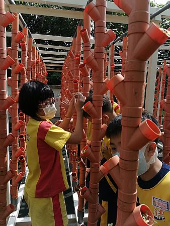 放大圖：