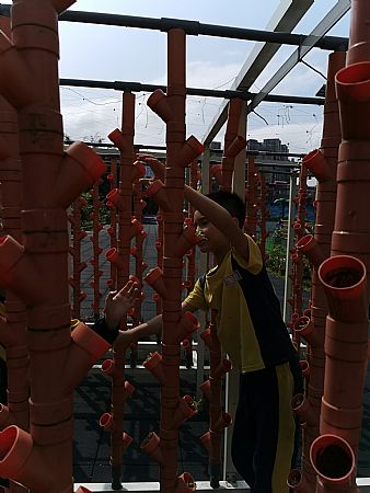 放大圖：