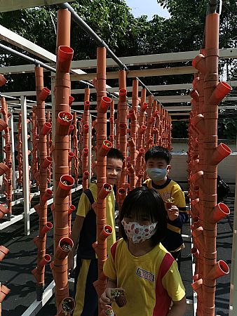 放大圖：