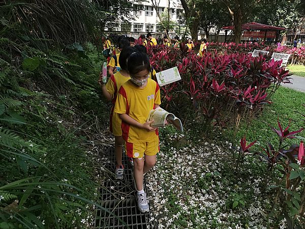 放大圖：