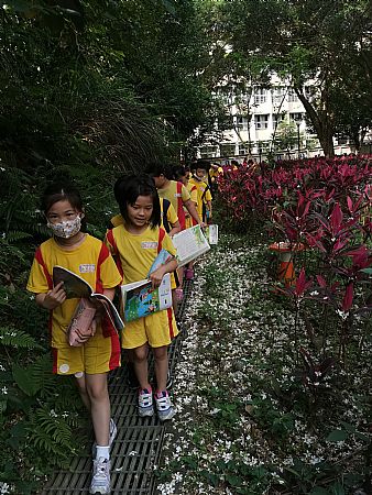 放大圖：