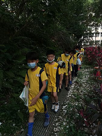 放大圖：