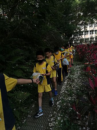 放大圖：