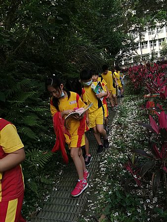 放大圖：