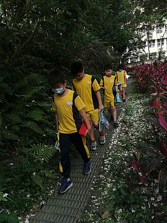 放大圖：