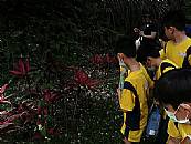 縮圖：