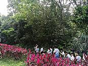 縮圖：