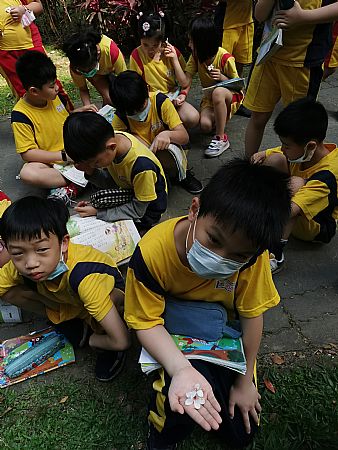 放大圖：