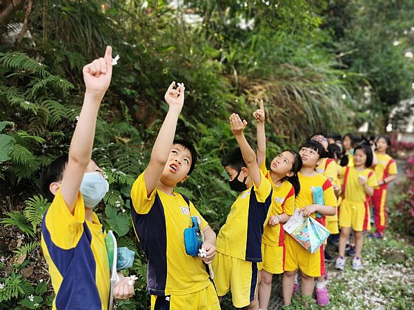 放大圖：