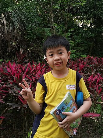 放大圖：