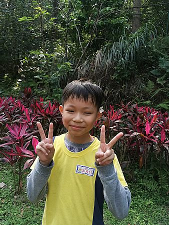 放大圖：