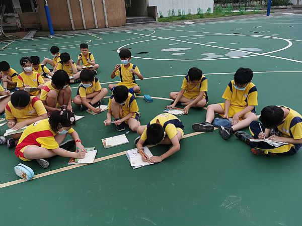 放大圖：