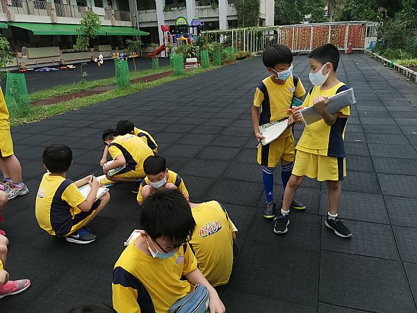 放大圖：