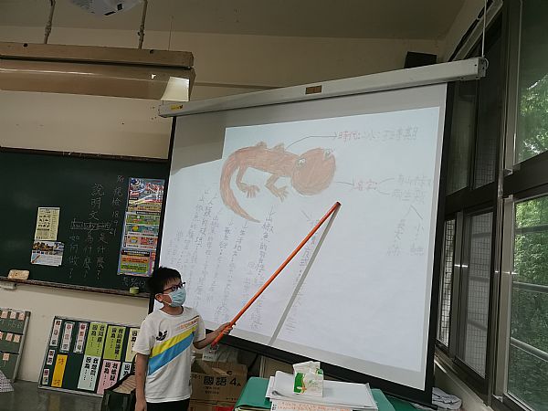 放大圖：