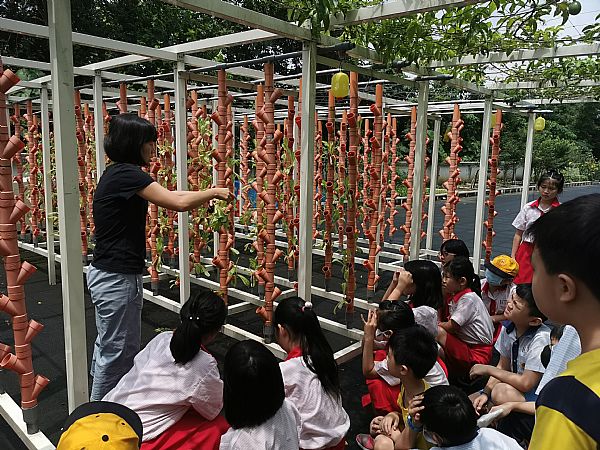 放大圖：