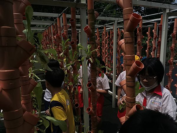放大圖：