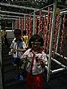 縮圖：
