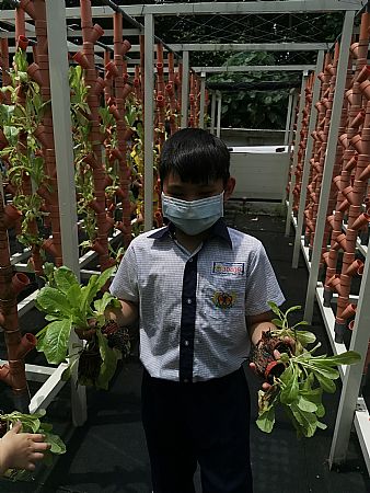 放大圖：