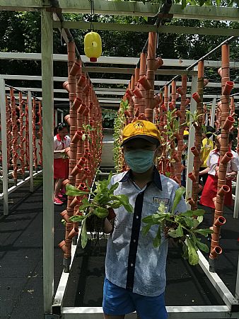 放大圖：