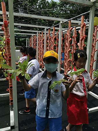 放大圖：