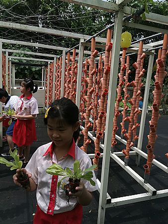 放大圖：