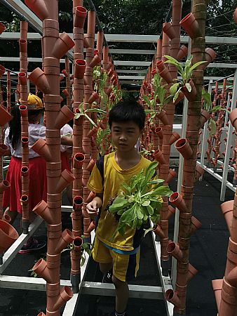 放大圖：