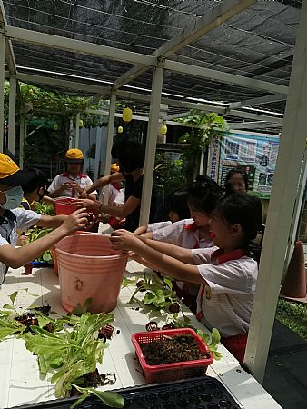 放大圖：