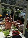 縮圖：