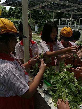 放大圖：