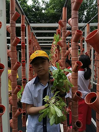 放大圖：