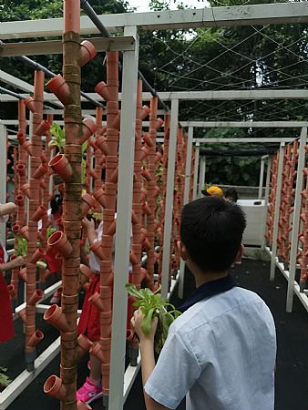 放大圖：
