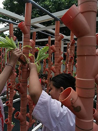 放大圖：