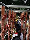 縮圖：